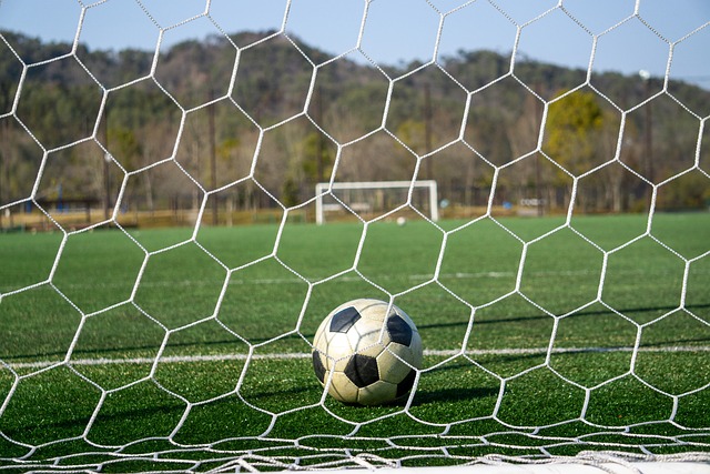 健康状态无 健康状态无