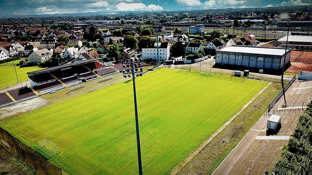 后一根稻草 后一根稻草