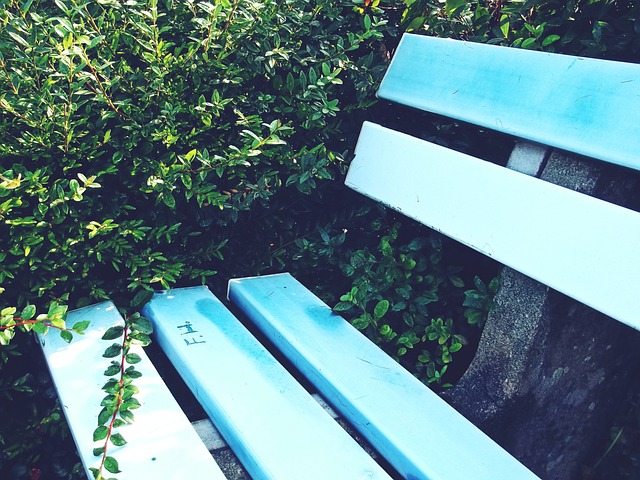 我们必须关 我们必须关