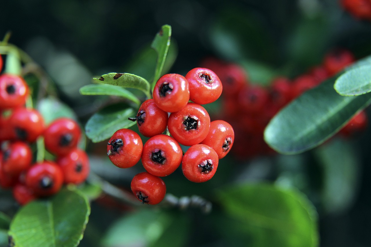 內馬爾領銜 內馬爾領銜