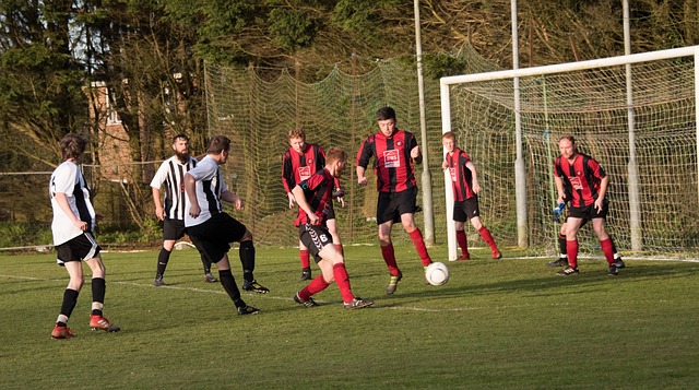 波斯特能否 波斯特能否